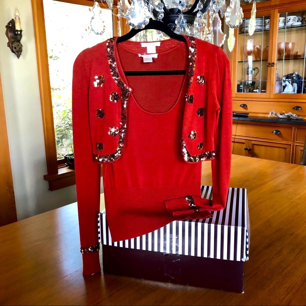 Sequenced edged rust bolero 2 piece sweater